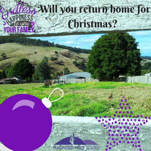 will-you-return-home-for-christmas