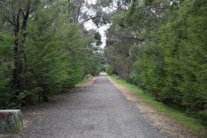 Moe Yallourn Rail Trail walking